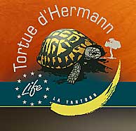 logo-tourtue-hermann
